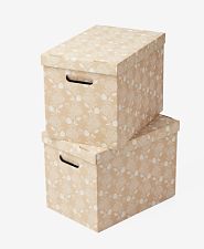 Cutii