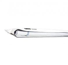 Marchize